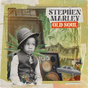 Standing In Love-Stephen Marley