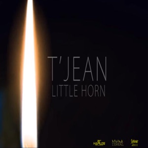 Little Horn-T-Jean