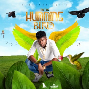 Humming Bird-Tatik