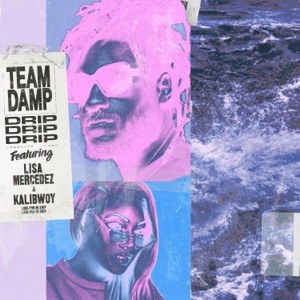 Drip-Team DAMP