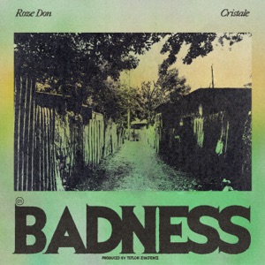 Badness-Teflon Zincfence