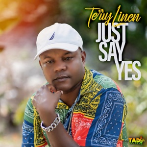 Just Say Yes - Terry Linen