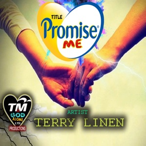 Promise Me - Terry Linen