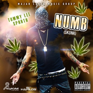 Numb-Tommy Lee Sparta