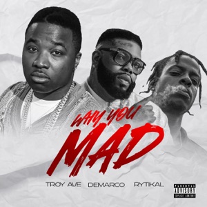 Why You Mad - Troy Ave