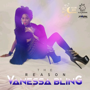 The Reason-Vanessa Bling