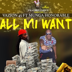 All Mi Want-Vazion 45