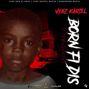 Vybz Kartel - Born Fi Dis