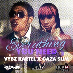 Everything You Need-Vybz Kartel 