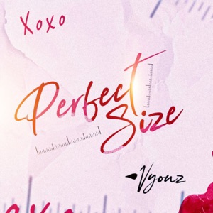 Perfect Size-Vyouz