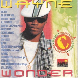 Wayne Wonder - Wanye Wonder