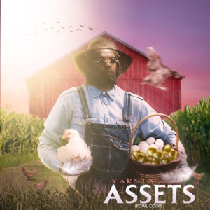 Assets-Yaksta