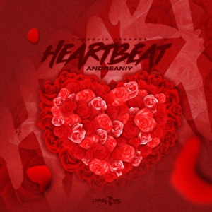 Heart Beat-yk code