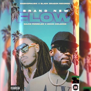 brand new flow-Zidon Coilboss 