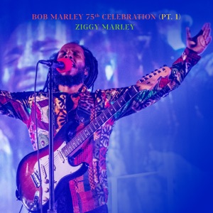 Roots, Rock, Reggae-Ziggy Marley