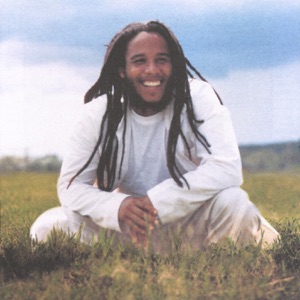 Power to Move Ya-Ziggy Marley 