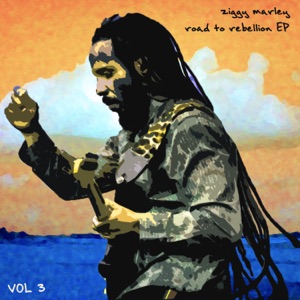 Ziggy Marley - Road to Rebellion, Vol. 3