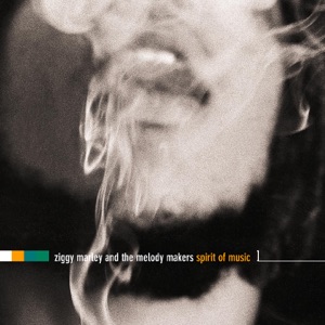 Ziggy Marley  - Spirit of Music