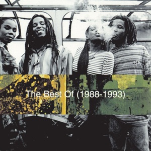 Ziggy Marley  - The Best of Ziggy Marley and the Melody Makers