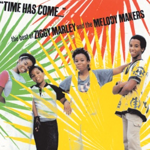 Ziggy Marley  - Time Has Come... The Best Of