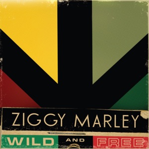 Forward to Love-Ziggy Marley