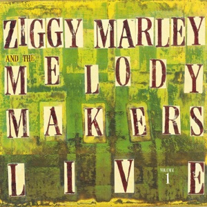 Ziggy Marley and the Melody Makers Live, Vol. 1 - Ziggy Marley 