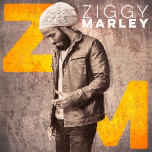 Start It Up-Ziggy Marley