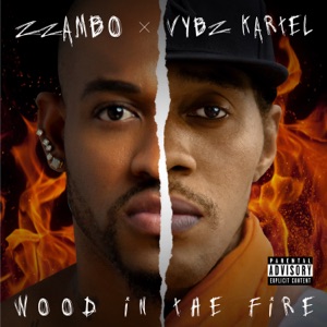 Wood in the Fire-Zzambo