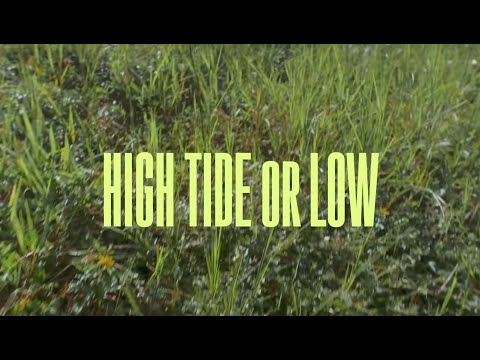 High Tide or Low