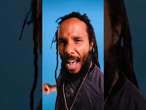 Ziggy Marley